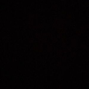 Meet your Posher, Chase